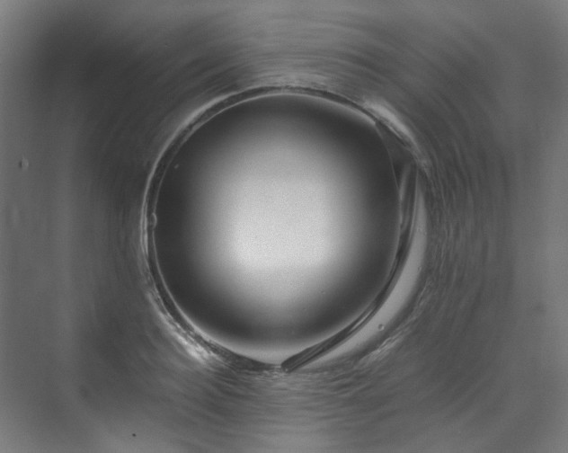 X0000070170940200606021053