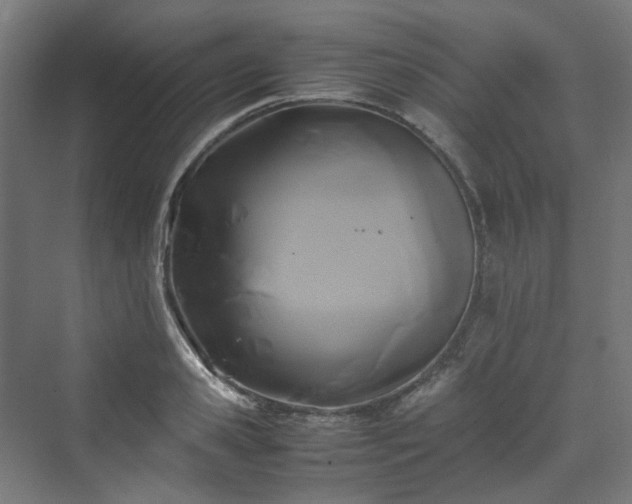X0000070170941200606021053