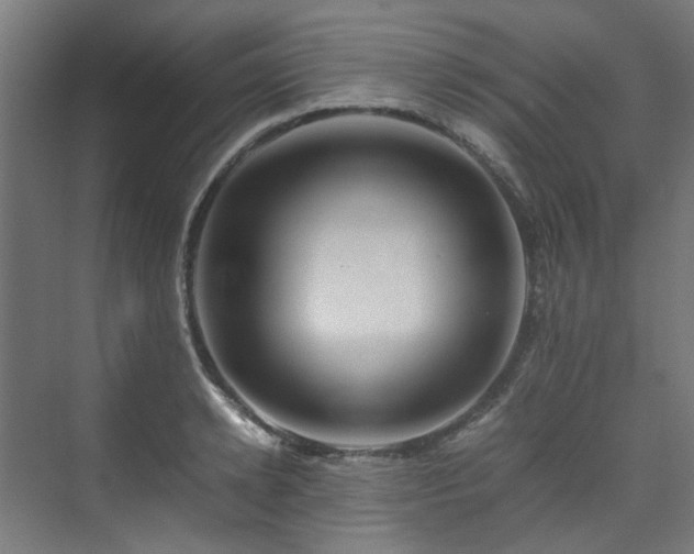X0000070170942200606021053