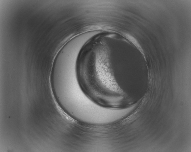 X0000070170946200606021054