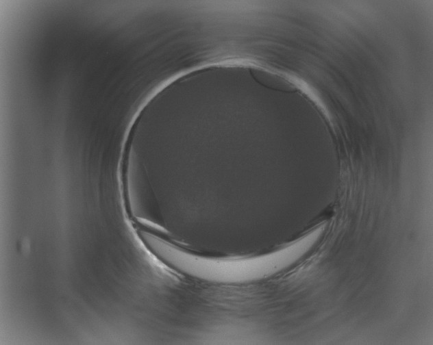 X0000070170959200606021054