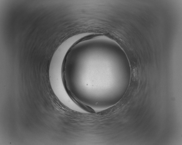 X0000070170963200606021053