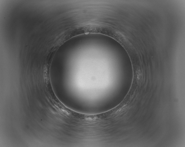 X0000070170964200606021053