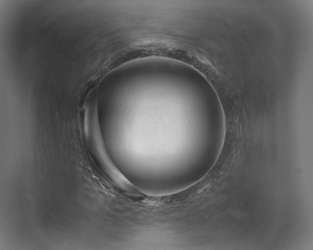 X0000070170965200606021053