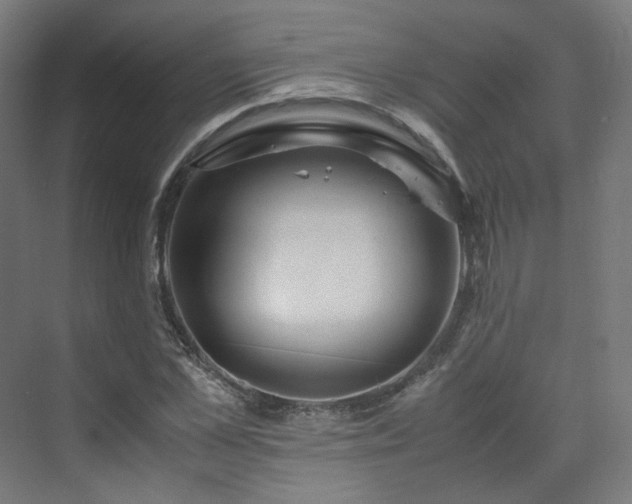 X0000070170973200606021053