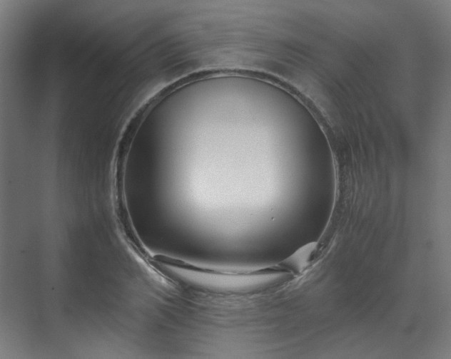 X0000070170982200606021053