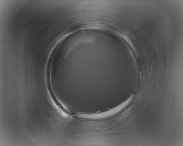 X0000070170995200606021052