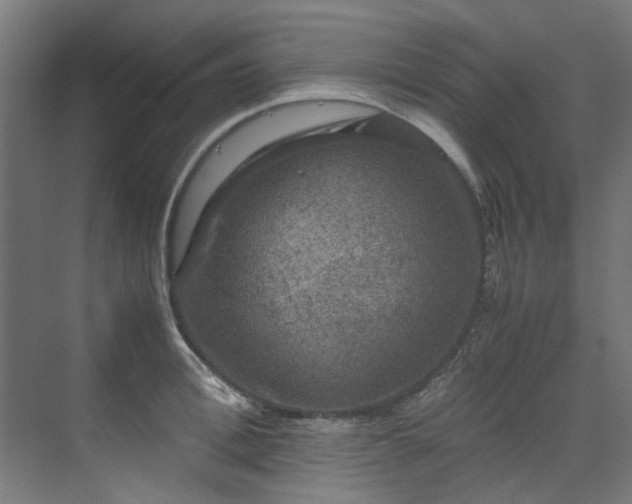 X0000070170996200606021052