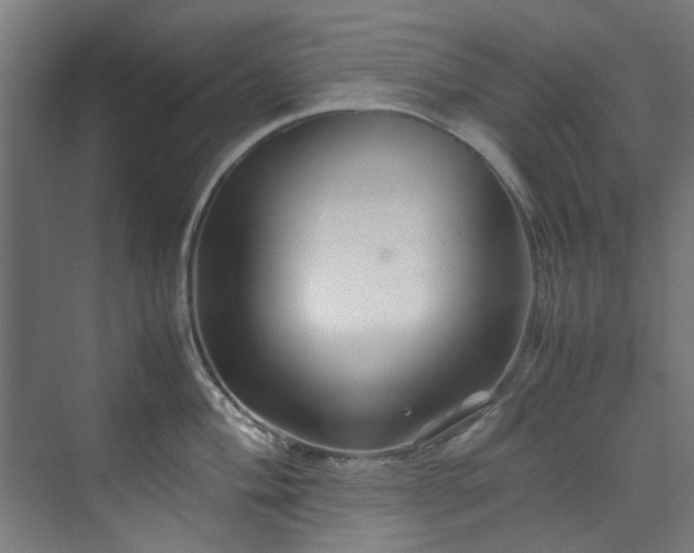 X0000070171004200606021052