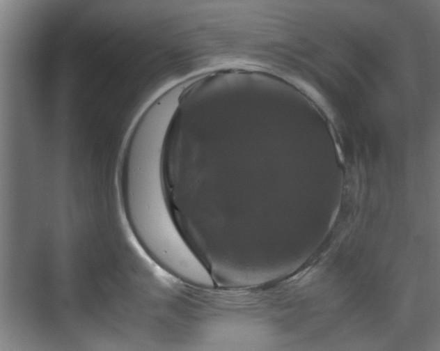 X0000070171007200606021052