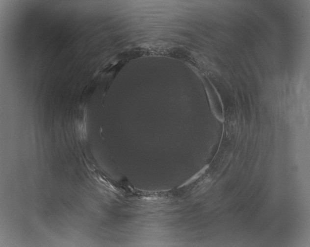 X0000070171010200606021051