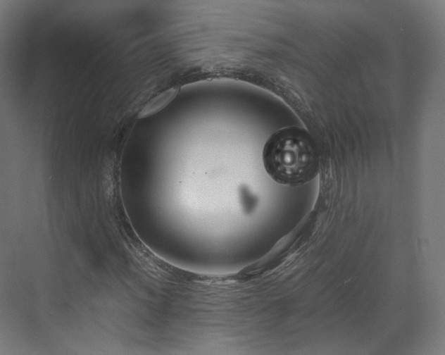 X0000070171012200606021051