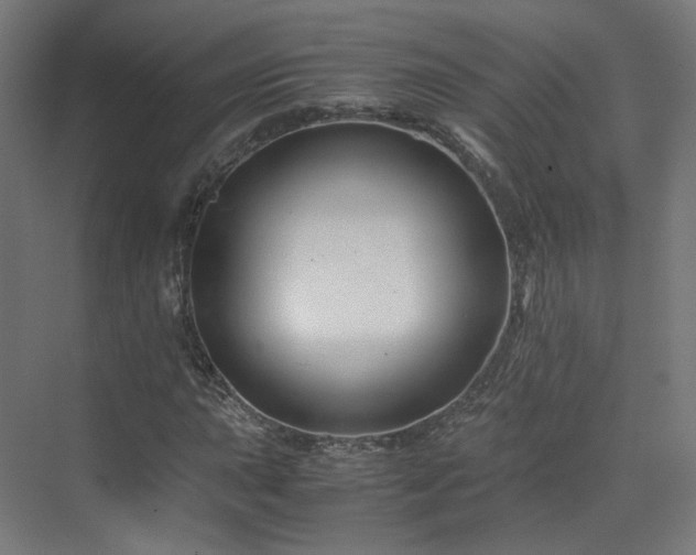 X0000070171015200606021051