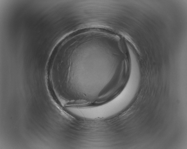 X0000070171024200606021052