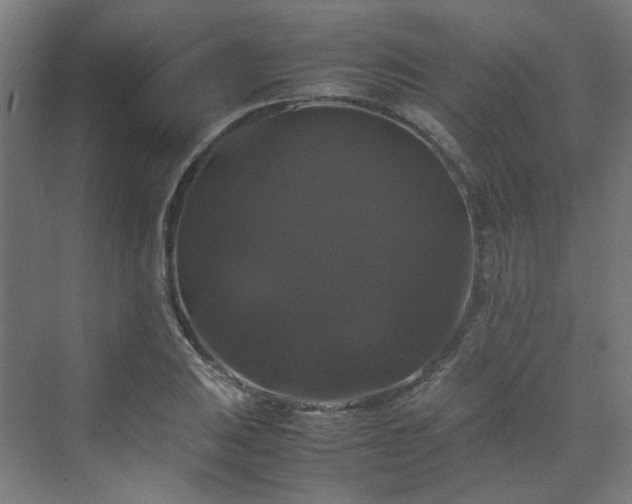 X0000070171031200606021052