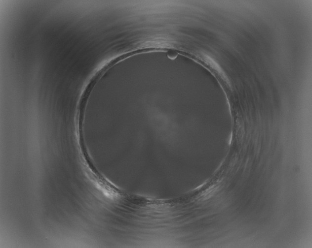 X0000070171035200606021052