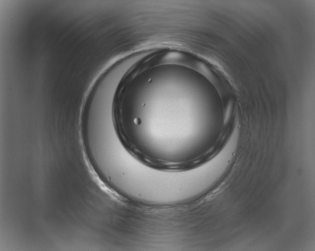 X0000070171038200606021052