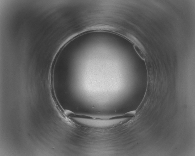 X0000070171044200606021052