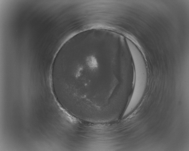 X0000070171048200606021052