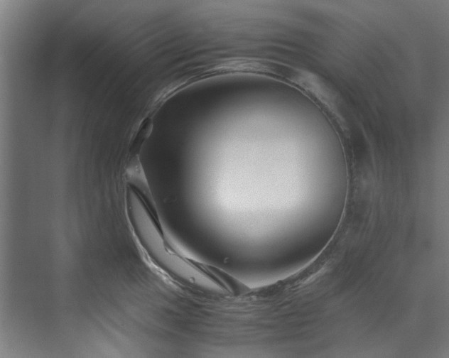 X0000070171049200606021052