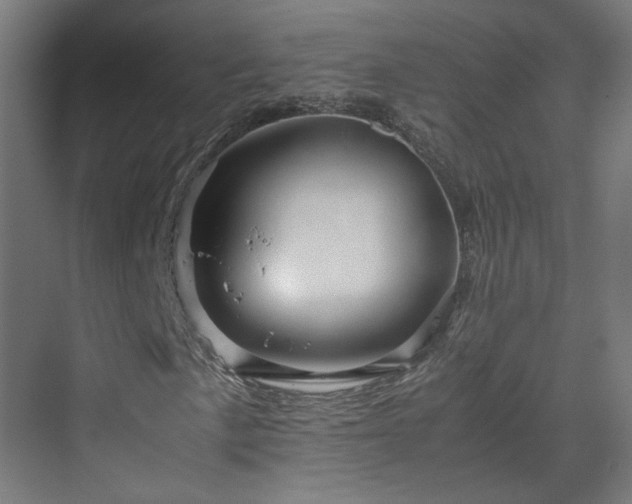 X0000070171057200606021051