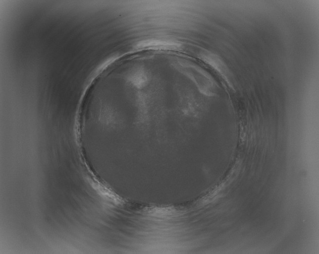 X0000070171074200606021051