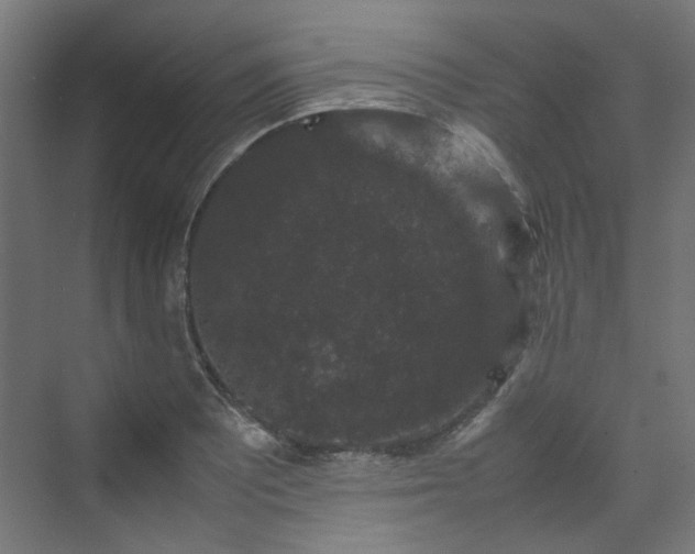 X0000070171081200606021051