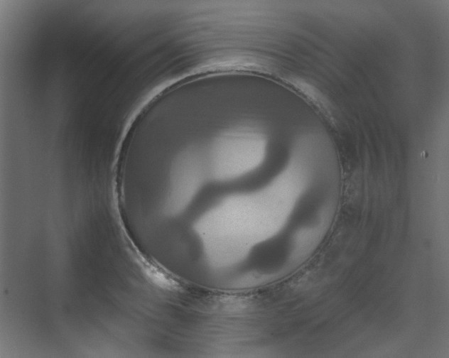 X0000070171086200606021051