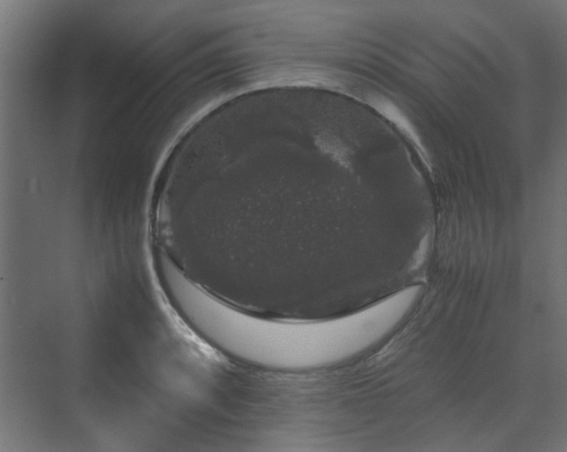 X0000070171088200606021051