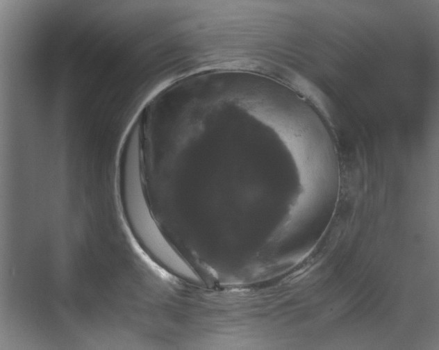 X0000070171095200606021051