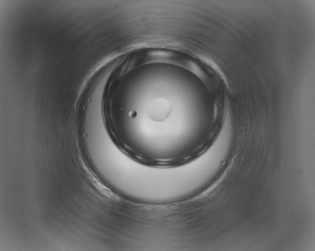 X0000070171114200606021050