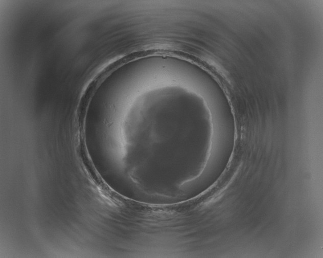 X0000070171117200606021050