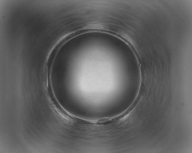 X0000070171123200606021050