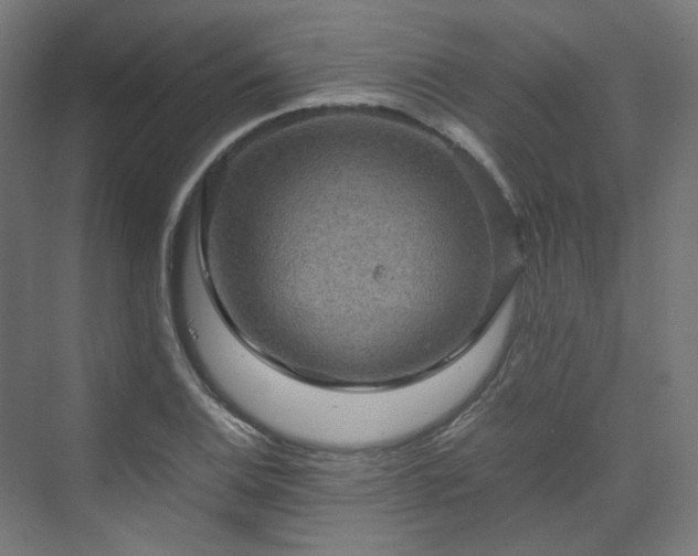 X0000070171124200606021050