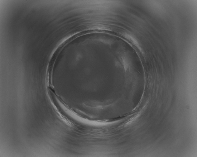 X0000070171125200606021050