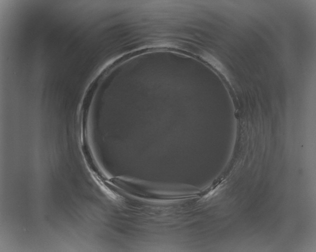 X0000070171127200606021050
