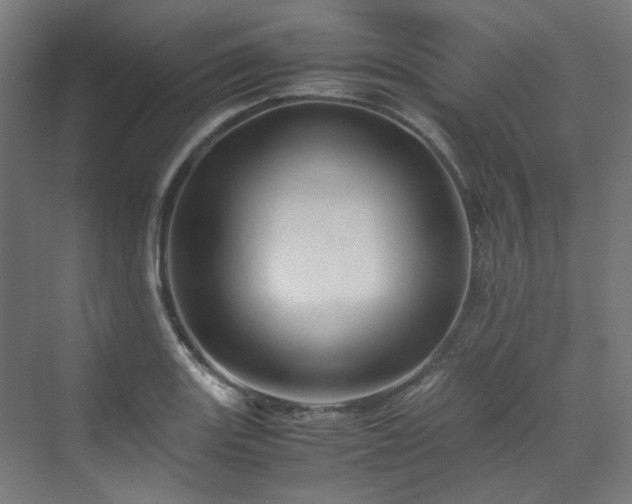 X0000070171131200606021050