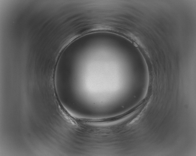 X0000070171137200606021050