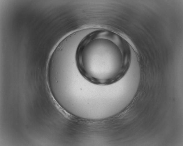 X0000070171148200606021050
