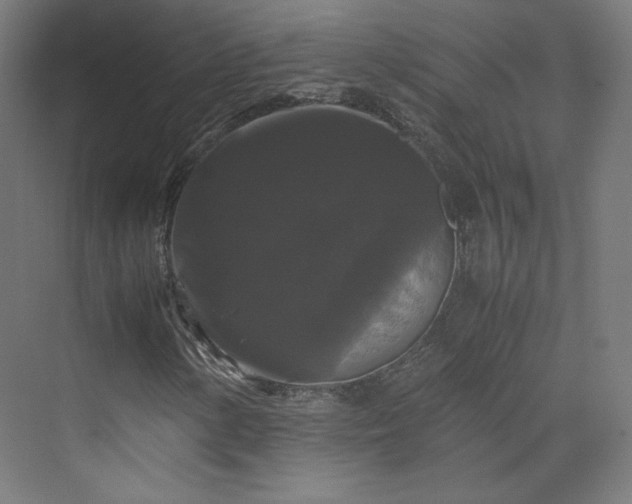X0000070171154200606021050