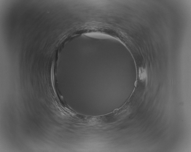 X0000070171155200606021050
