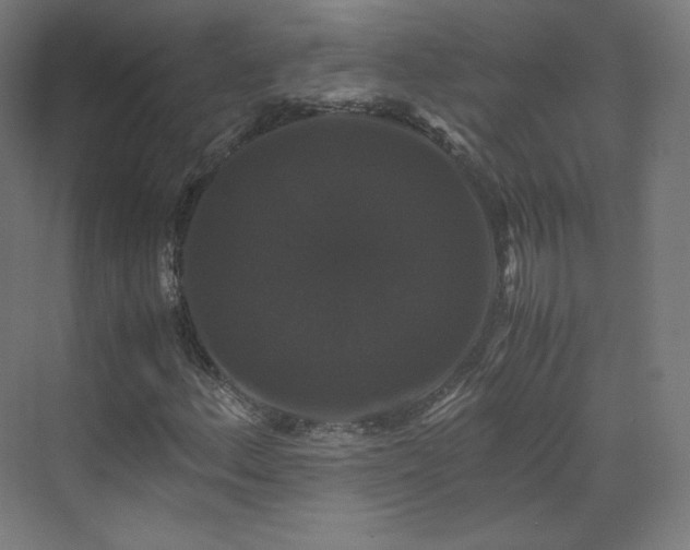 X0000070171156200606021050