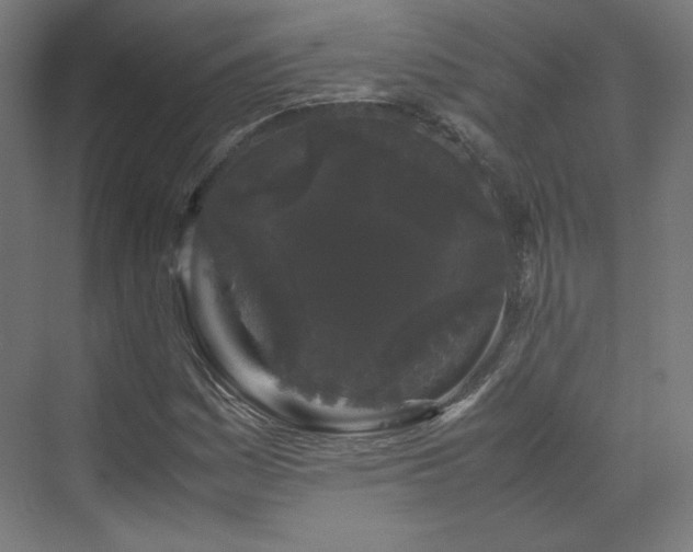 X0000070171161200606021050