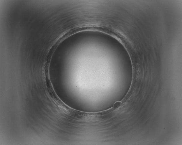 X0000070171162200606021050