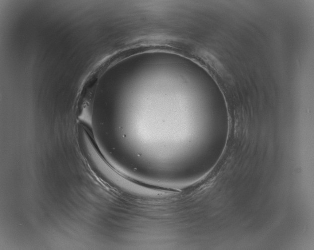 X0000070171164200606021050