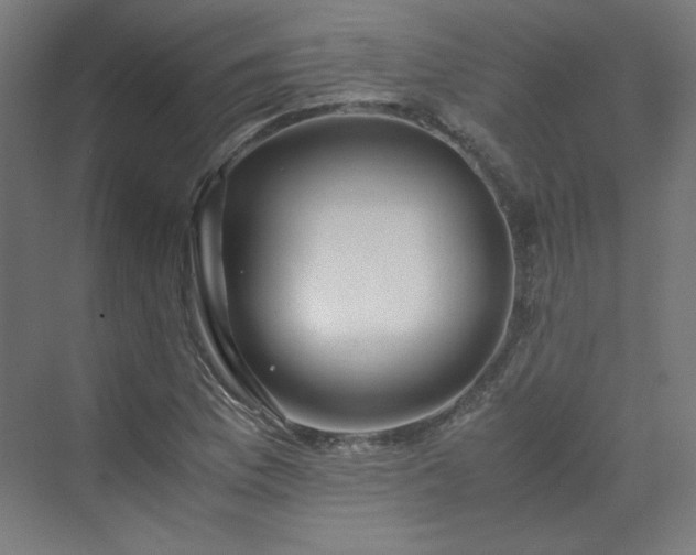 X0000070171169200606021049