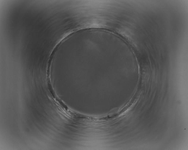 X0000070171170200606021049
