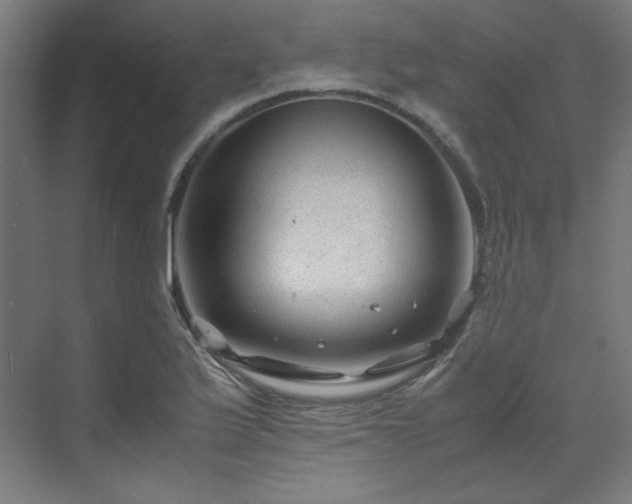 X0000070171175200606021049