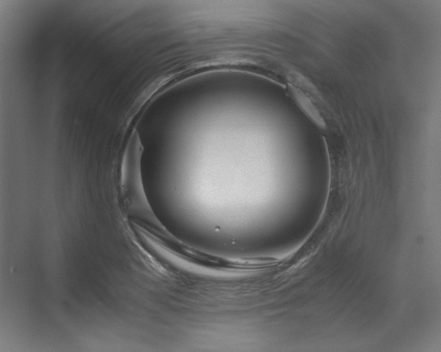 X0000070171177200606021049