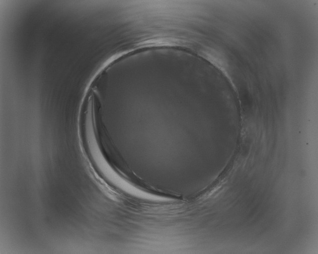 X0000070171179200606021049
